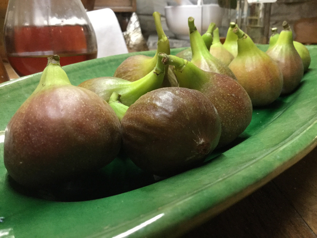 FA1C619B-1613-4185-B446-B833C2CBBF2E