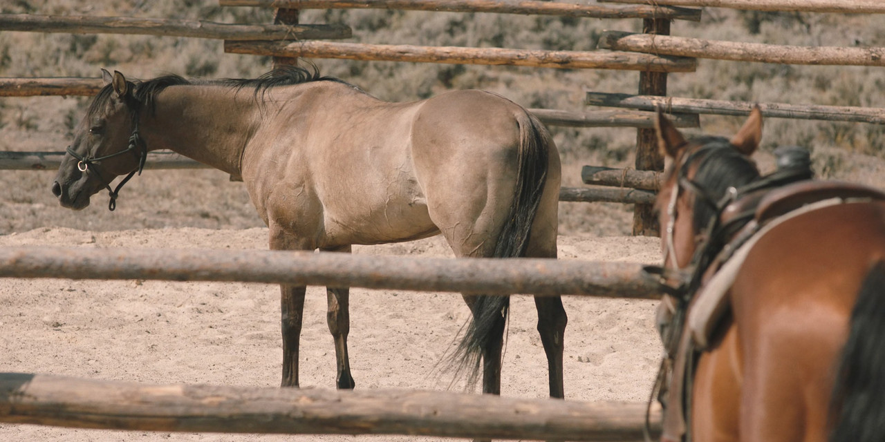 [HR] Yellowstone S01E01 [32023629]_01