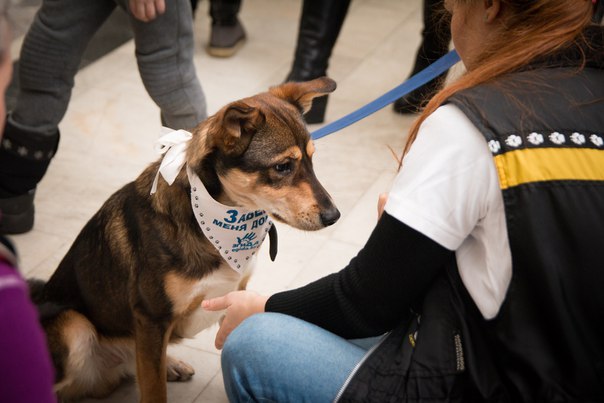 B61171CF-D36A-48AF-8BF7-ADBC0DAEE240