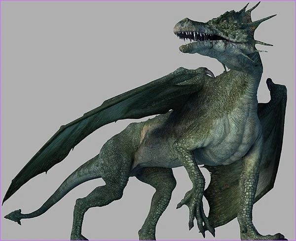 Europäischer-Drache