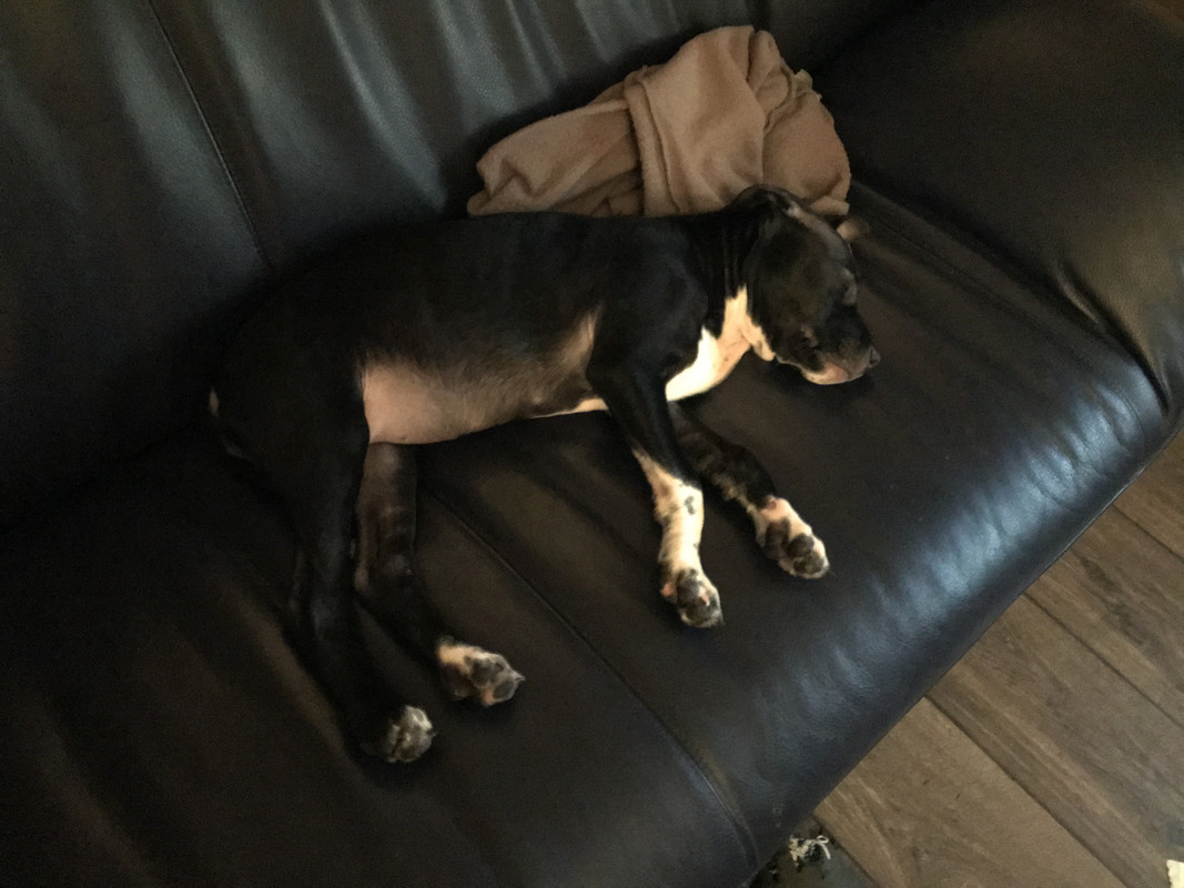 D00E1916-7D00-4C89-99CD-6EA96CF7C49A