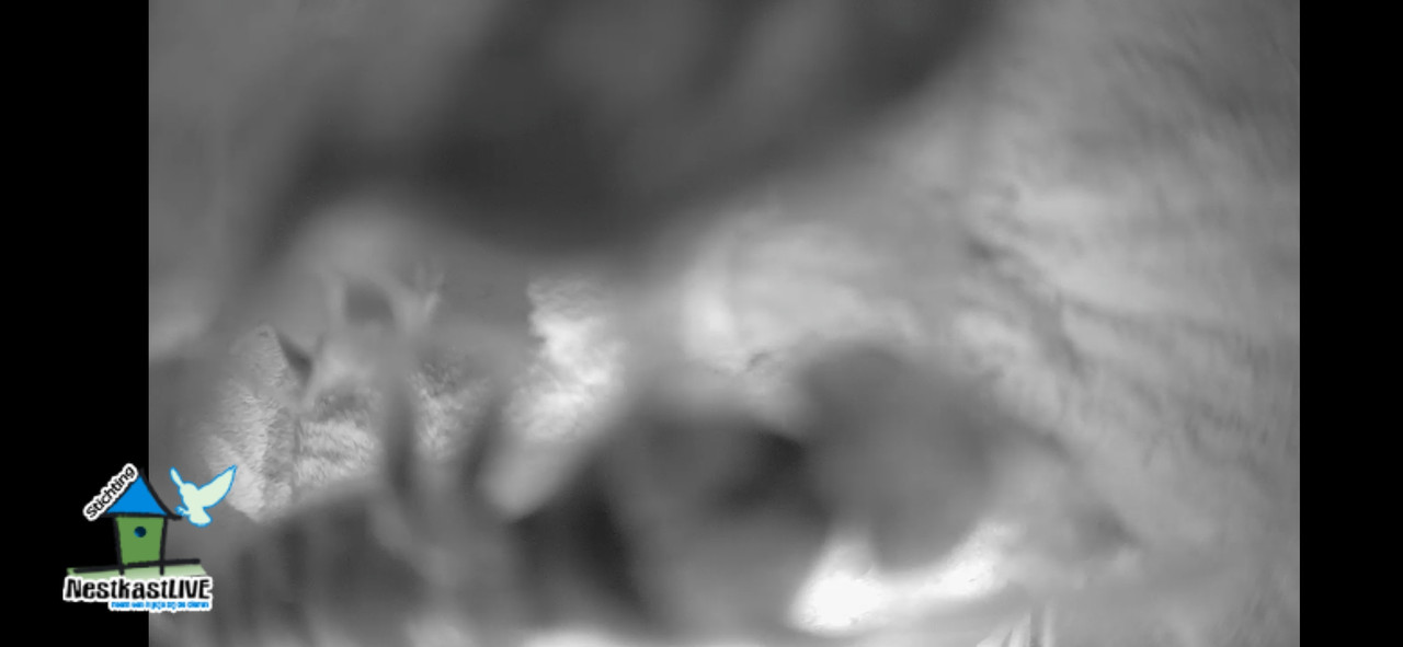 Screenshot 20251118 075327 org mozilla firefox