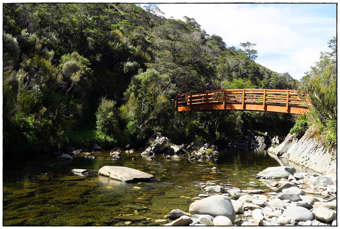 Escapadas y rutas por la Nueva Zelanda menos conocida - Blogs de Nueva Zelanda - Kahurangi NP: Heaphy Track (Navidad 2020, III) (18)