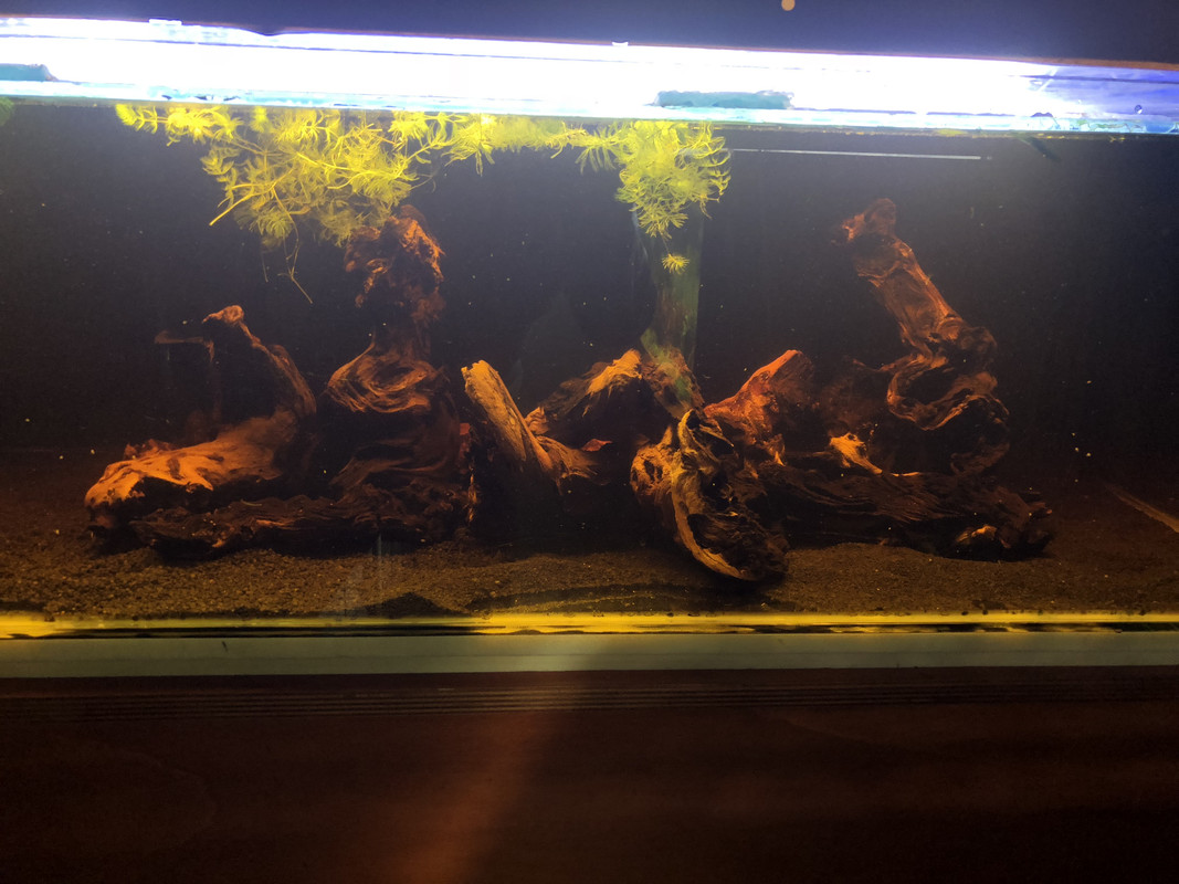 0D975962-1887-4CE1-B4E7-D79BFEC6EDCB