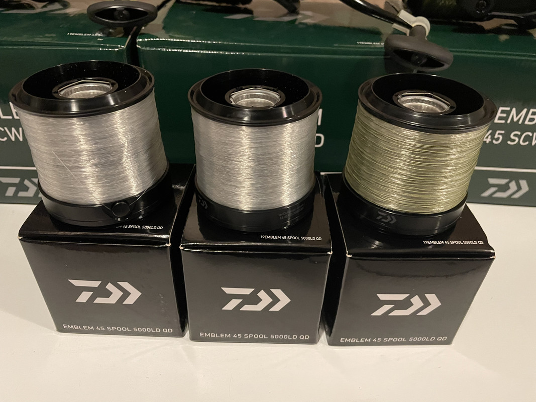 FF4CEF0B-D49A-4D5E-9107-331E024CC203