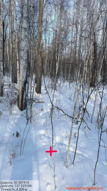 50 587414 137 025184