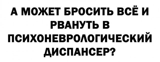 17177272.jpg