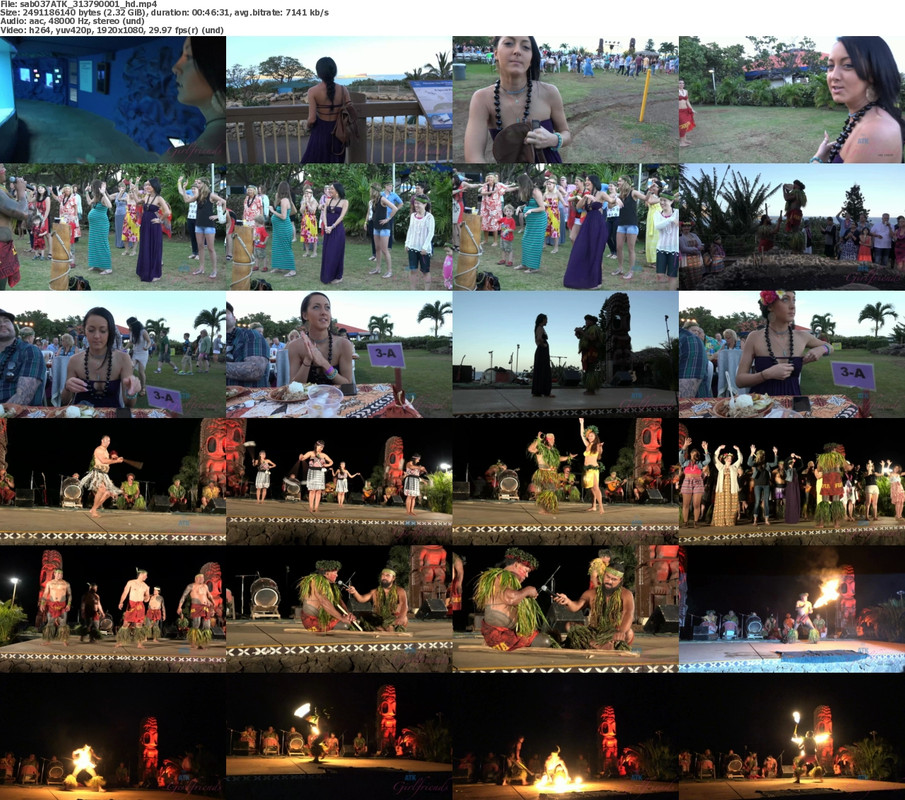 15112024233005screenshot