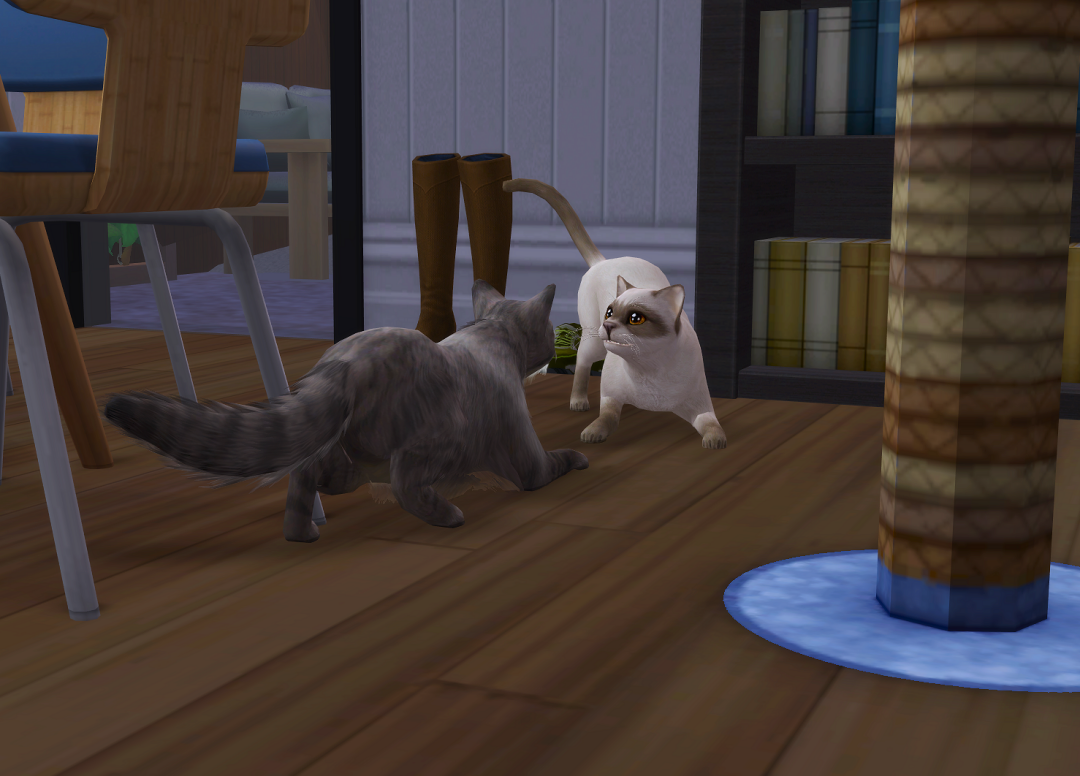 ksnip-20250821-183805