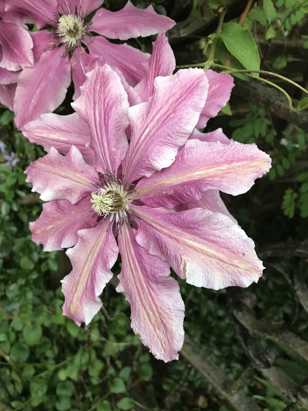 0C900412-EC4D-4328-9D52-4D4626BB7BF2