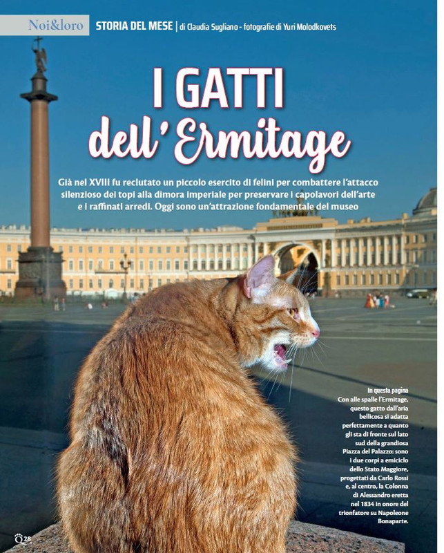 QuattroZampe Apr 2022 (1)