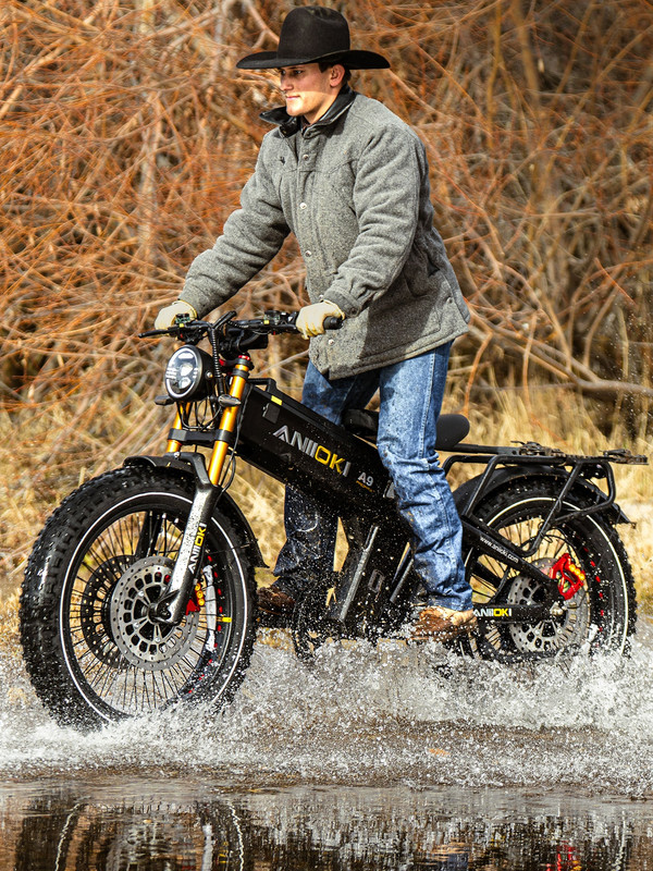2025 Version A9 Pro Max Power Station Ebikes ip