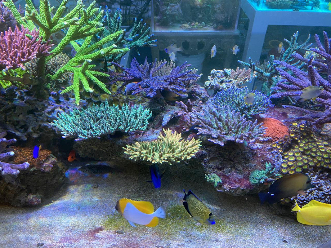 1C4FE3CC-1A58-466D-8DF5-2E2D32F23776