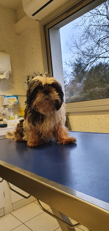 [Image: 20230309-180651.jpg]