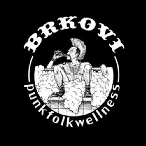 PunkFolkWellness Album Art