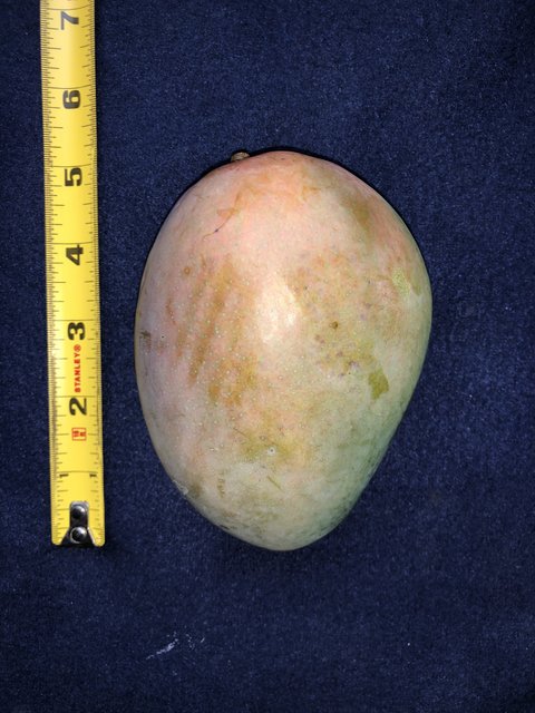 815B44EA-DA37-4F02-87BC-D7EFCA3562EC