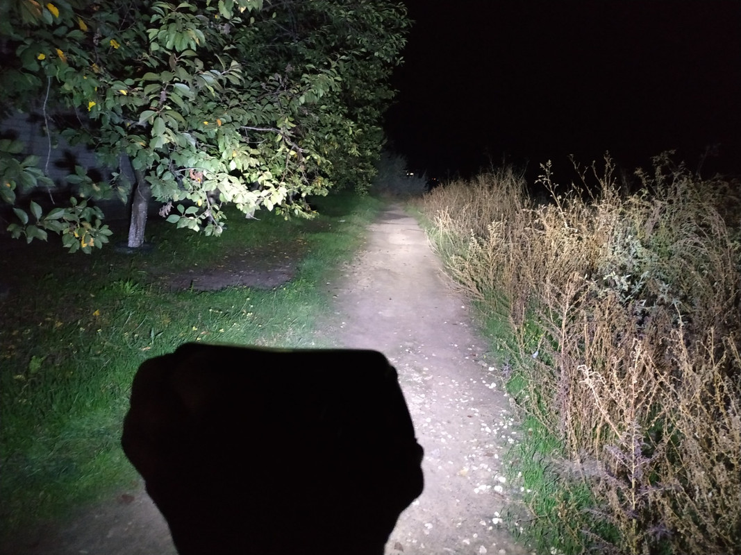 изображение_viber_2020-10-24_19-35-14