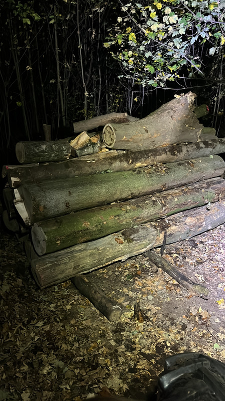 9C955AEA DB97 4A55 BCC7 0B69D2E18D5D