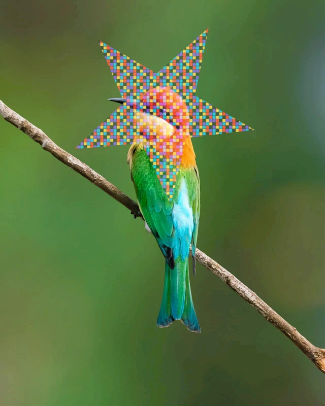 Mask pattern Build With Filters Maker v1 0 20012026144713