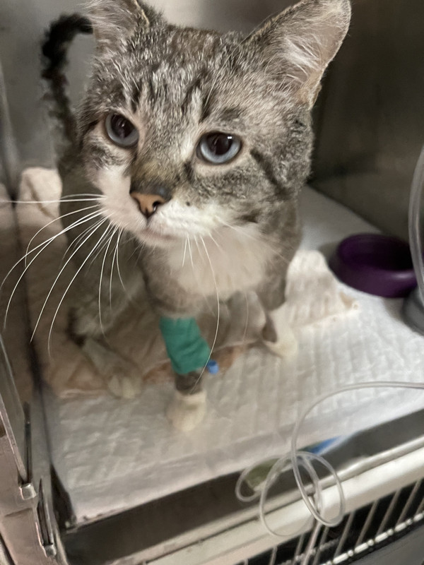 D06325AF-C568-4828-A2E8-8F0C749CC855