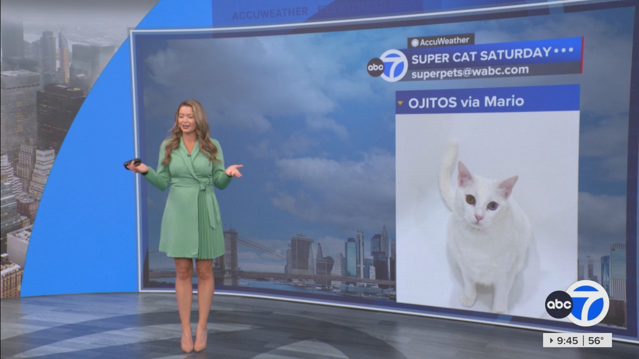 Eyewitness News This Morning_20250510_14001500.ts_snapshot_46.37.010