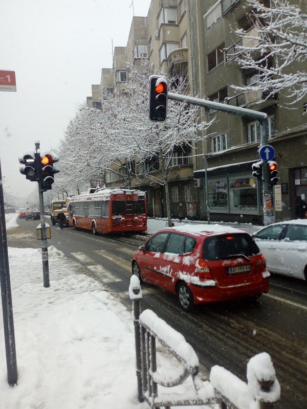 IMG-20190124-091230.jpg
