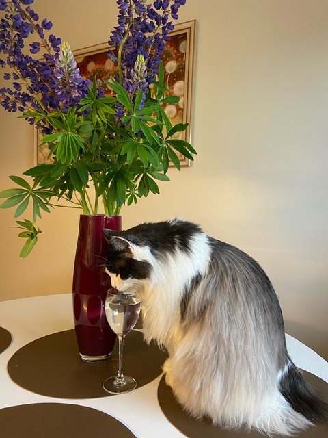 AD9-A8-C26-9-DC5-4904-9-FBD-875-BBFD4284