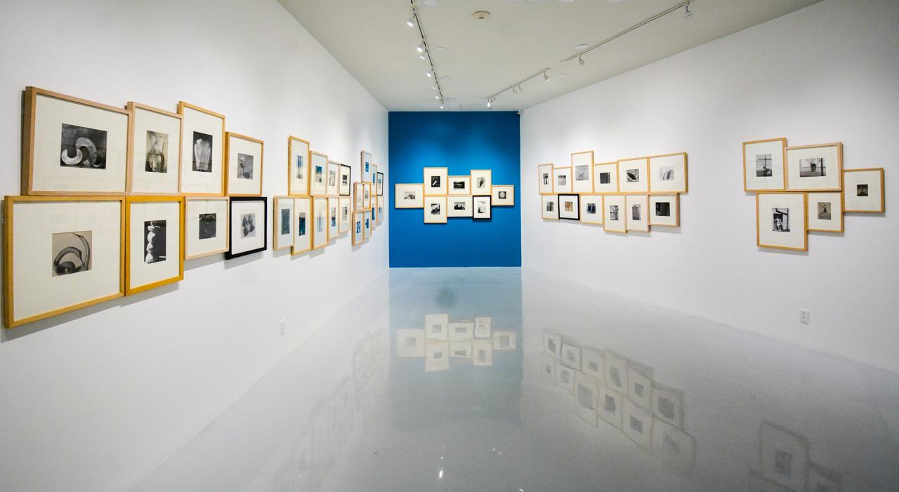    Comparte el Museo de Arte Moderno 62 imágenes con la muestra 