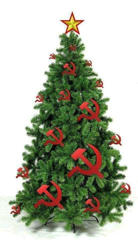 605507925 5022421194650318 3805489675458448489 n (1)