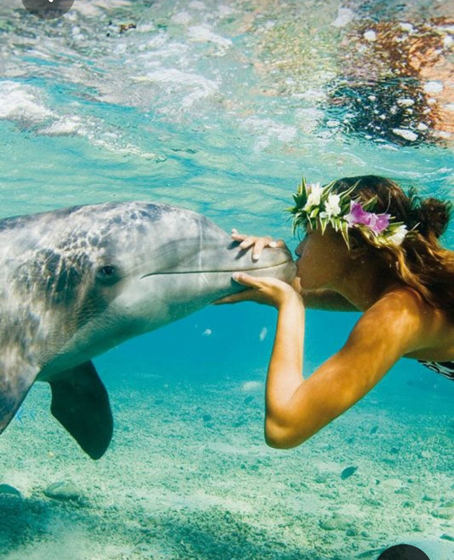 Screenshot_20230514_124929_Pinterest