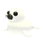 Harp Seal