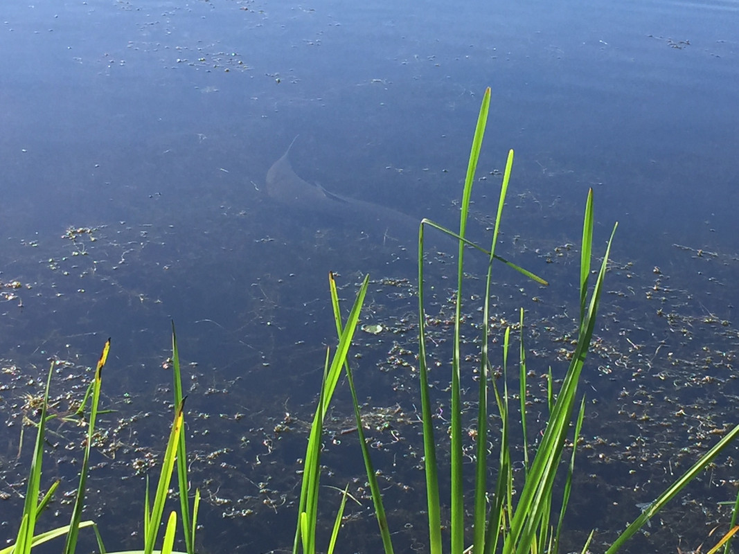 44C51C63-D9A9-4489-9B7B-BE40ECFDC228