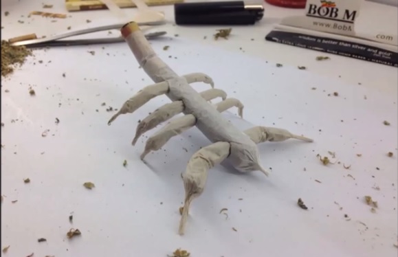 rolling a scorpion