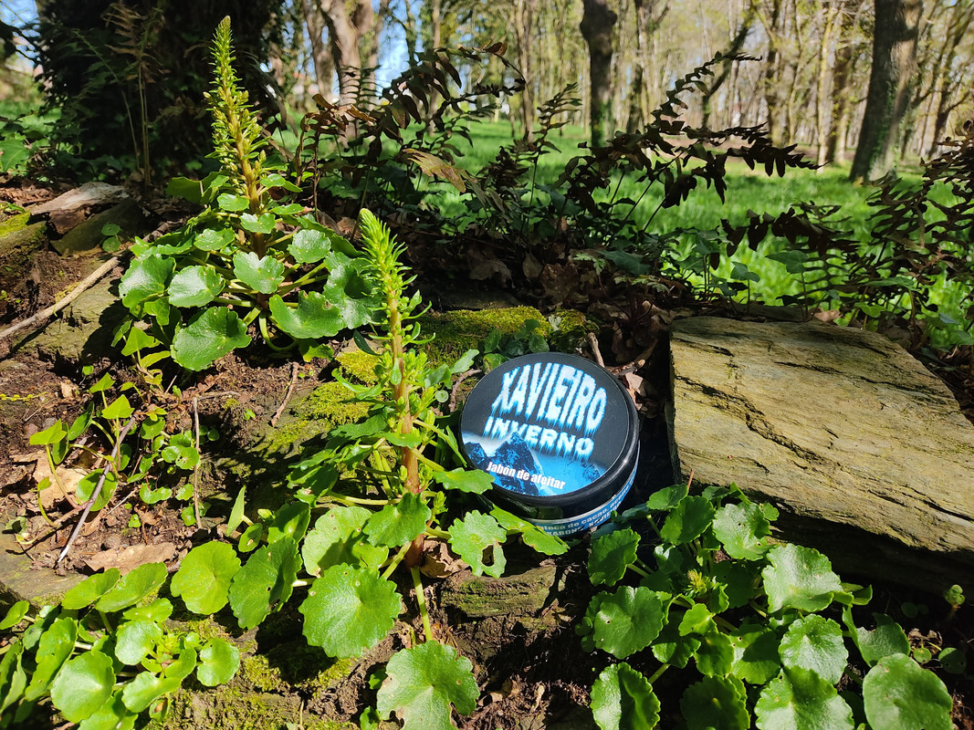 IMG_20230416_114605 (1)