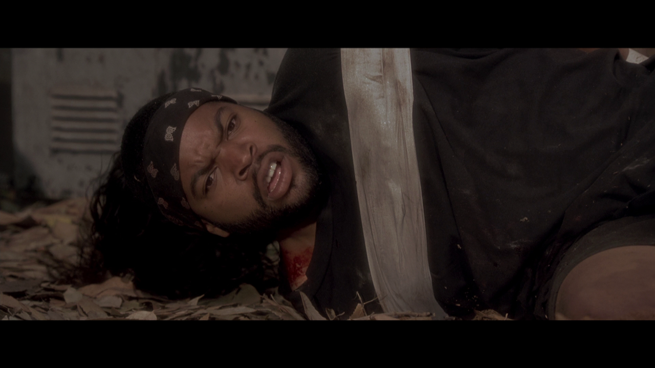 vlcsnap-2023-01-17-21h41m03s851