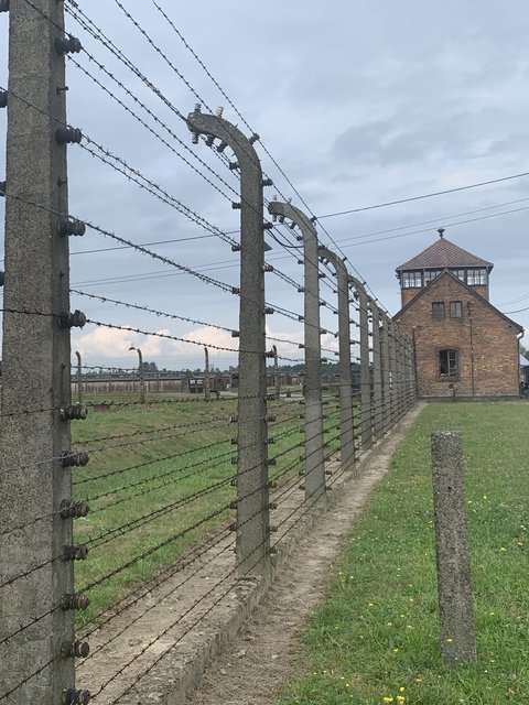 Cracovia (Kraków) y Auschwitz - Polonia en verano de 2024 (11)