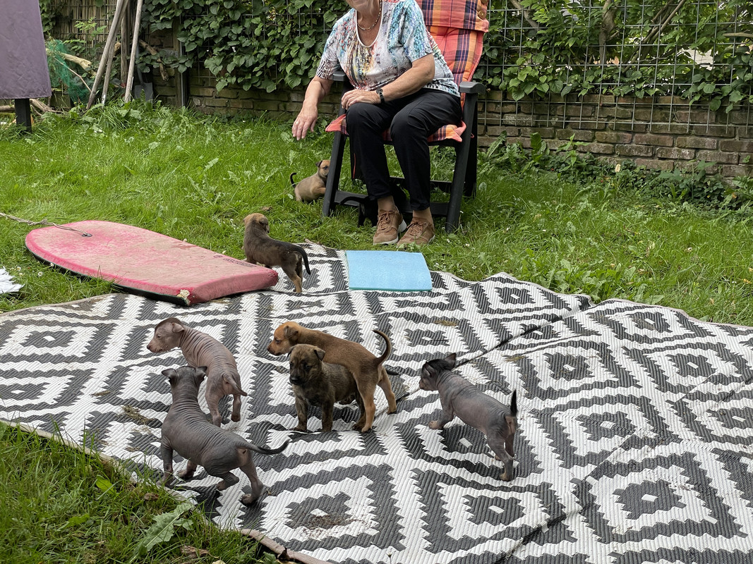 3CCF3C0D-F57C-4818-B866-32ADF1F1D9E0