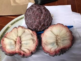 20882741_10209067317431357_4974092936524565687_n