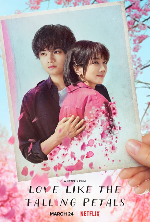 Miłość jest jak opadające płatki kwiatów / Love Like the Falling Petals / Sakura no Yōna Boku no Koibito (2022) PL.NF.WEB-DL.XviD-K83 / Lektor PL