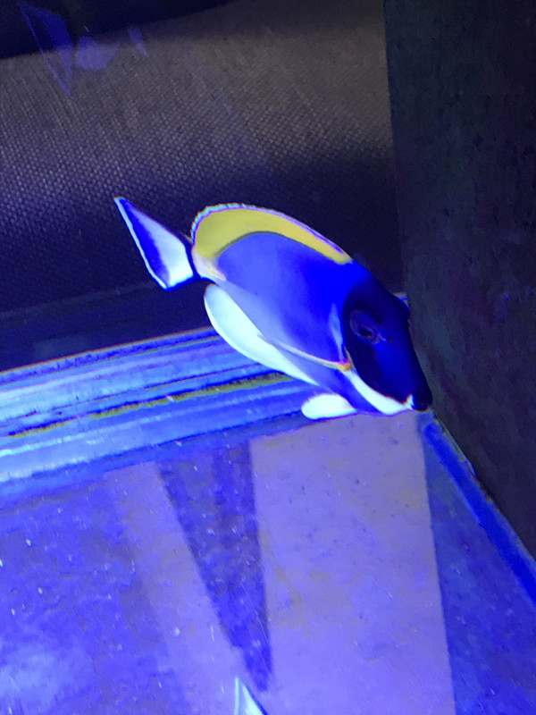 44ABA15A-AA19-4494-A6F0-CD026125B46D