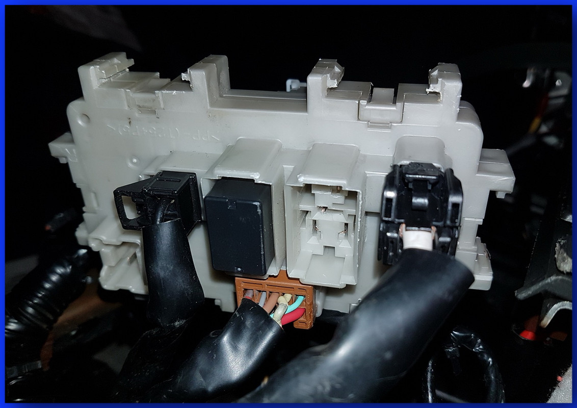 место род оеле