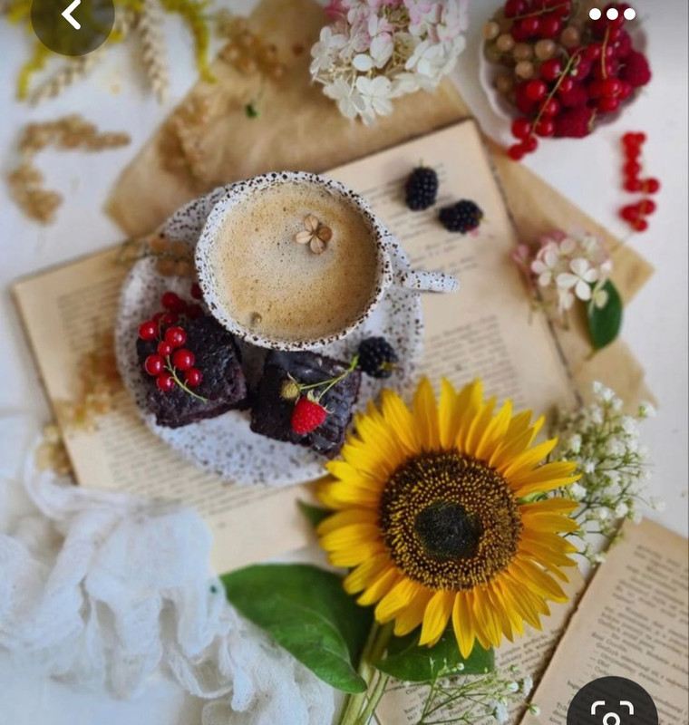 Screenshot_20230517_000519_Pinterest