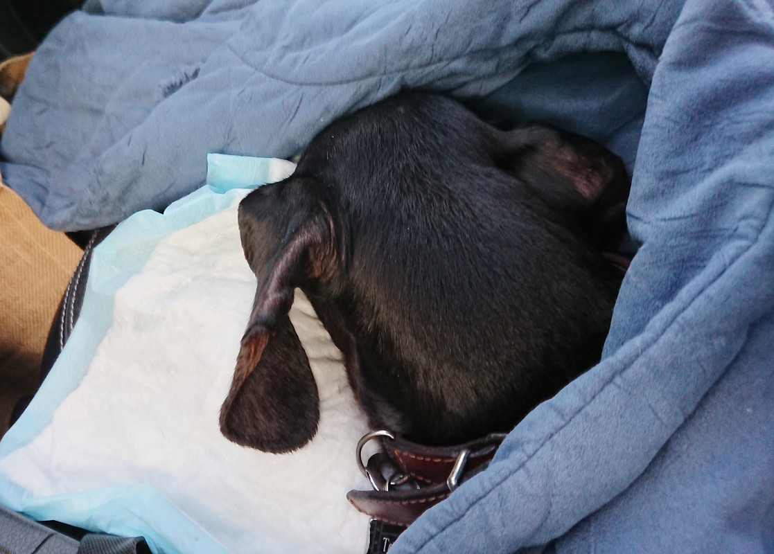 [Image: 20221209-141947.jpg]