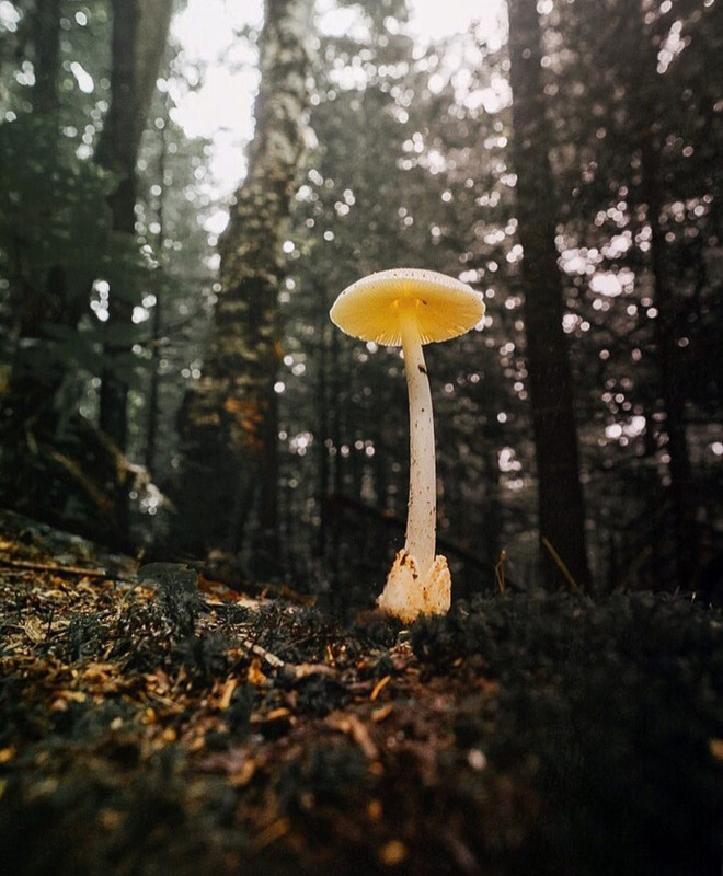 Screenshot_20231206_220933_Instagram