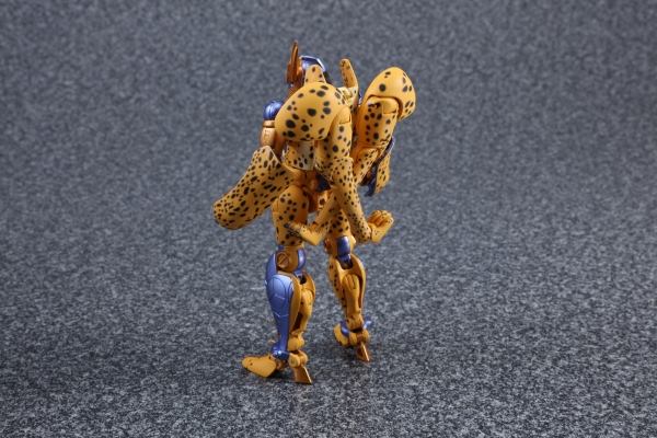 13886378_305414973142270_9184811950234347638_n