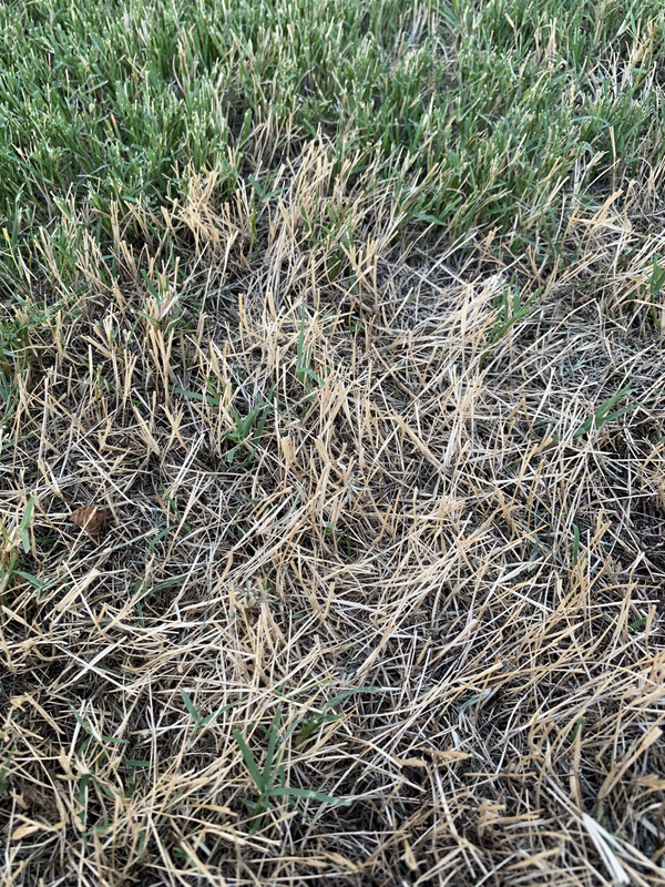 D8BB15DB-93EA-49C2-AD88-EEA778E152B6