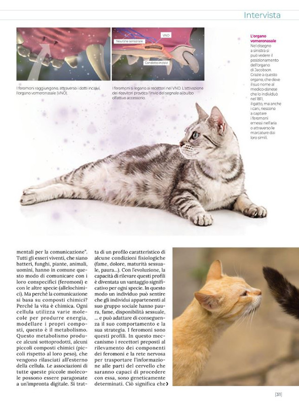 Ga Ma Giu-Lug 2021 (8)