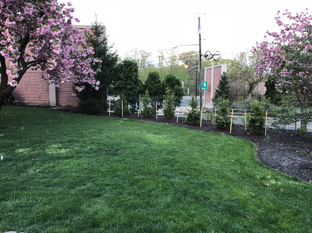 509B4597-799C-47FA-9A89-4EEBC4C814CC