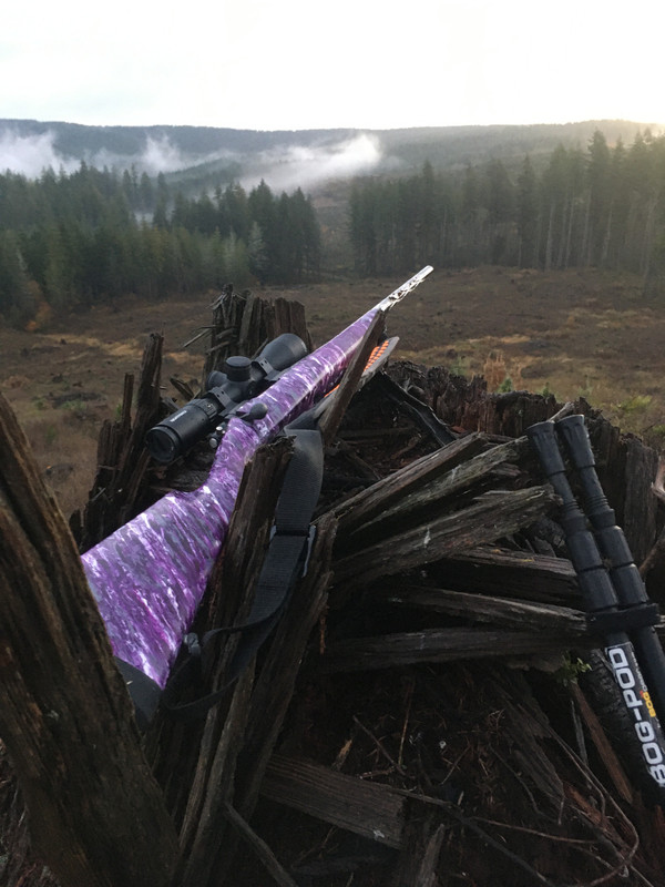 CAEF8851-BD69-40B4-B399-0B0CCE8103ED