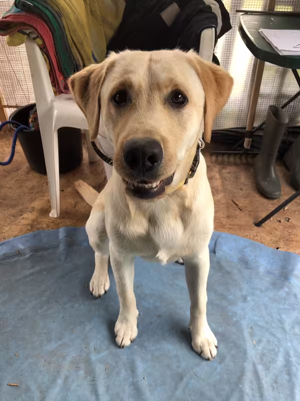 7258F75D-2963-4AD6-86B5-F3EE98CE9F6D